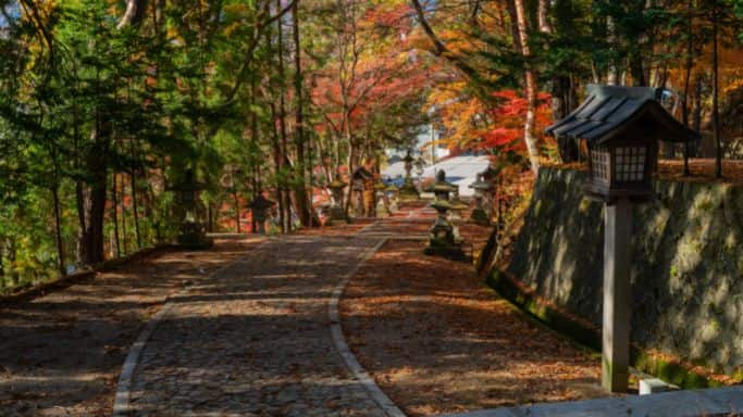 Automne au Japon