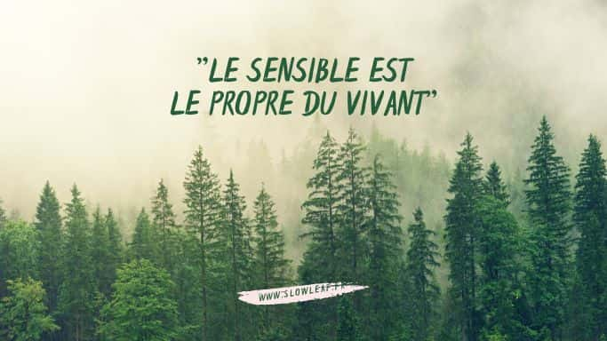 La sensibilité est le propre du Vivant