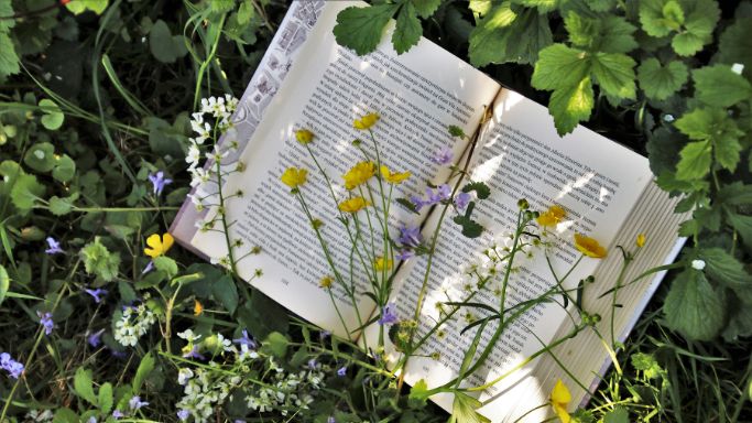 livre ouvert & des fleurs